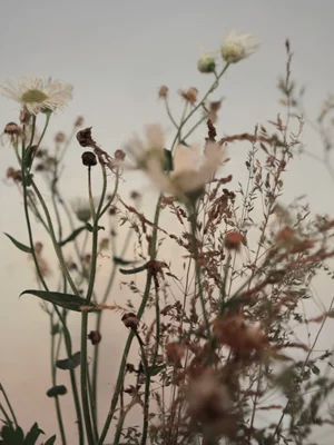 抗菌洗手露 依蘭依蘭2